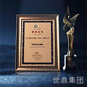 2025国际影响力品牌奖